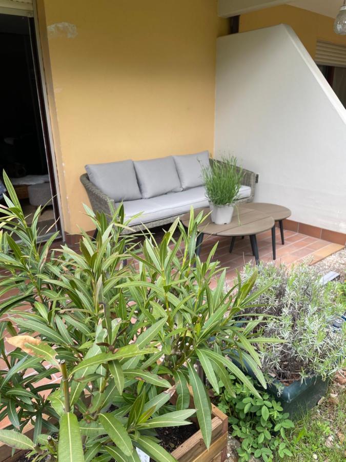 Charmant Studio En Pleine Nature Klingenthal المظهر الخارجي الصورة